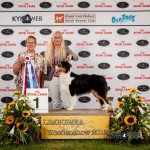 07-07-2013: Mercedes best of breed puppy and BIS puppy